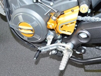 Ducabike Ducati Scrambler Gear Shift Lever - Scrambler 1100 - Silver - Fixed