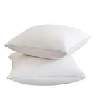 Throw Pillow Insert (Pack of 2, White), 18x18 Premium Goose Feather and Polye...