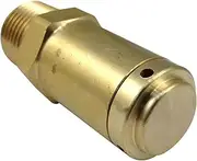 Brass 1/2 Suction Valve Solenoid Valve Pipeline Negative Pressure Valve Safety Valve Vacuum Protection Valve