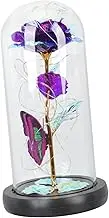 ASAKKURA Valentine Day Preserved Rose Glass Dome and Led Light Elegant Indoor Floral Decoration for Mom Wife Girlfriend for Mother Day Birthdays and Anniversaries