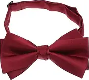 [WATIIFUFU] Unique Men's Bow Tie Thin Tie for Grooms Stylish Tuxedo Accessory Pre-tied Polyester Tie