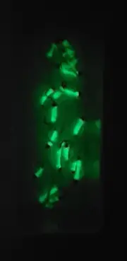 FLY-FLIES-ICE JIGS (* PINK BEAD HEAD GLOW WORWS * ) ** 2 FLIES * SIZE 14 *