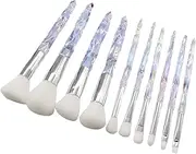 10x Makeup Brush Set Eye Shadows Blush, Powder Portable Acrylic Handle Blending for Lady Premium Foundation Beauty Tool