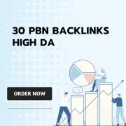 30 HIGH PA/DA PBN BACKLINKS 100% WHITE HAT WEBSITE SEO AGENCY