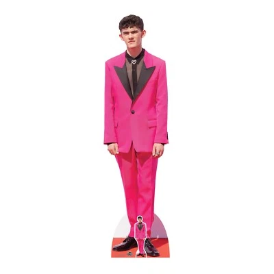 Joe Locke Celebrity Lifesize Cardboard Cutout with Free Mini Standee