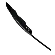 Goose Flight Wing Feather x 5 pcs - Black