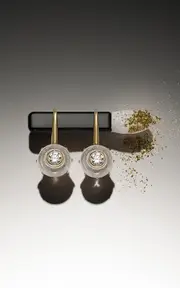 [Sauer] 18k Yellow Gold Frames Solitaire Hoop Earrings