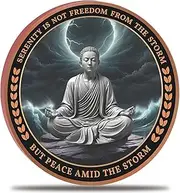 Serenity Peapce Challenge Coin – Inspirational Recovery Pocket Token Medallion, “Serenity is Not Freedom from The Storm, but Peace Amid The Storm”, Strength and Resilience Coin
