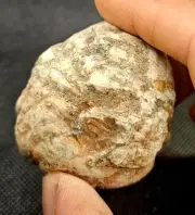 600ct Massive Unopened Natural Australian Huge Geode Gamble Thunderegg Mt Mays