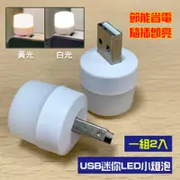 在飛比找蝦皮購物優惠-【現貨】USB迷你LED小燈泡(2入) 白光/黃光  USB
