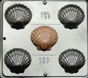 Shell Sea Shell Chocolate Candy Mold Candy Making 141 NEW