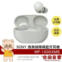 在飛比找樂天市場購物網優惠-Sony 索尼 WF-1000XM5 銀色 降噪 IPX4 