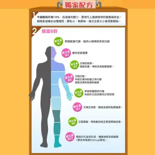 【健康優見】活力B群糖衣錠x15瓶(30粒/瓶)+贈高單位葉黃素x5瓶(30粒/瓶)-永信監製