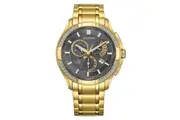 Citizen Eco-Drive Gray Dial Stainless Steel Men's Watch (BL8172-59H)