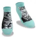 JHJ DESIGN, 船襪/隱形襪, 貓咪系列 - 美國短毛貓 款