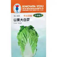 在飛比找蝦皮購物優惠-種子王國 山東大白菜(Chinese Cabbage) sv