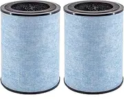 Asheviller AP300 Filter Replacement, Compatible with Instant® AP300 Air Purifier, H13 Grade True HEPA and Activated Carbon Filters, Compare to F300 Filter,2 Pack