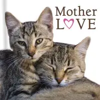 在飛比找博客來優惠-Mother Love (Cats)