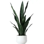 Artificial Snake Plant 22 Inch Fake Sansevieria Fake Agave Potted Plants Plas...