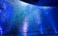 在飛比找KLOOK 客路優惠-名古屋港水族館門票