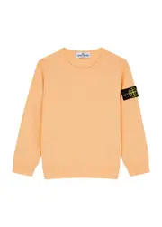 Stone Island Kids Logo Cotton Sweatshirt (2-4 Years) - Orange - 04YR (4 Years) 04YR (4 years)