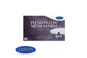 Jason J-Dream PLUSH 900g Pillows - MEDIUM/FIRM