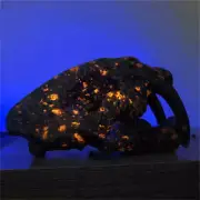 630g Natural Yooperlite saber-toothed tiger Skull Reiki Quartz Crystal Skull Dec