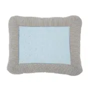 Blue Cooling Summer Pad Mat For Dogs Cat Soft Pet Bed Pet Beds