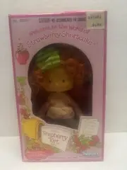 VTG Strawberry Shortcake Raspberry Tart 1st Issue Doll 1980 SEALED (43120)