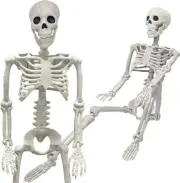 3FT Realistic Full Body Movable Posable Joints Skeleton,36" Skeleton Halloween