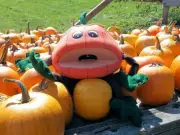 Pumpkin Patch Puppet with Vines- Autumn Harvest Orchard Ministry