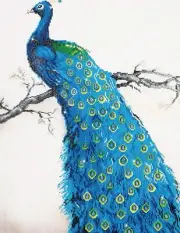 Blue Peacock Diamond Art Kit - Relaxing Craft with Sparkling DOTZ Gems 36.99x4.8