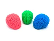 Stress Ball Brain - Glow in the Dark - Soft and Squishy Platinum Silicone