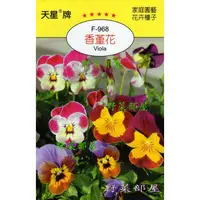 在飛比找蝦皮購物優惠-【萌田種子~花卉種子】Y76 香堇花Viola~穗耕種苗~天