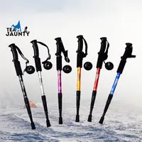 在飛比找生活市集優惠-【Team Jaunty】四節直柄登山杖 爬山手杖 老人拐杖