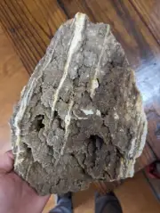 Huge 13.8lb Large Petrified Wood W Crystal Druzy Clio Alabama AL Brilliant