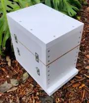 Harvest Honey From Your Own BeeHive - Stingless Australian Native Bee