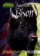 American Bison: A Scary Prediction