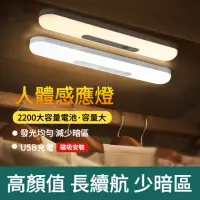 在飛比找momo購物網優惠-【The Rare】LED人體感應燈 USB充電 磁吸感應燈