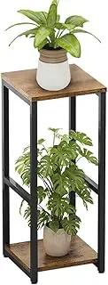 DelSol Plant Stand Corner Rack Metal Modern Flower Storage Plant Shelf Holder, Tall Plant Tables Indoor Outdoor for Living Room Balcony Garden (2 Tier)