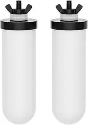 Joypur 2 Pieces Ceramic Replacement Filter for Gravity Water Filter System Ceramic Water Filter Cartridge for Gravity Water Filter System