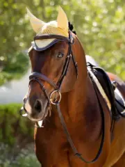 LeMieux Classic Fly Hood - Mimosa