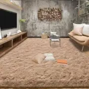 Area Rugs 9x12 for Living Room, Super Soft Fluffy Rugs for 9 x 12 Feet Beige