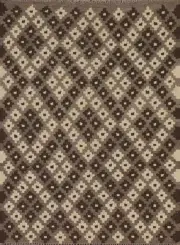 Natural Dye Flat weave Brown Geometric Kilim Oriental Rug Reversible Carpet 3x5