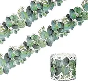 Eucalyptus Bulletin Border | Decorative Display Borders for Classrooms | Classroom Decoration | Back to Schools Supplies, Primary School,Educational Wall Decor