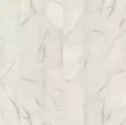 Shaw 360TS Serene - 12" x 24" Rectangle Tile - Polished Marble - Golden Calacata