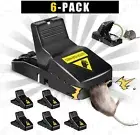 6 Pack Mouse Traps Rat Mice Killer Snap Trap Power Rodent Heavy Duty Pest Trap