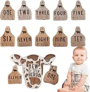 13pcs Highland Cow Monthly Markers – Wooden Baby Disc Tags for Newborn Personalized Memory Plates | KeepSake Baby Unique Photo Prop, Step Circles Cards