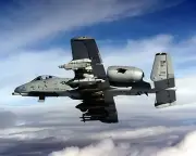 New 8x10 U.S. Air Force Photo: Fully Loaded A-10 Thunderbolt II Fighter Jet