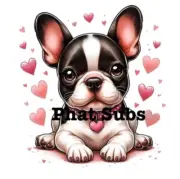 Sublimation Print Boston Terrier Valentine Ready To Press Heat Transfer